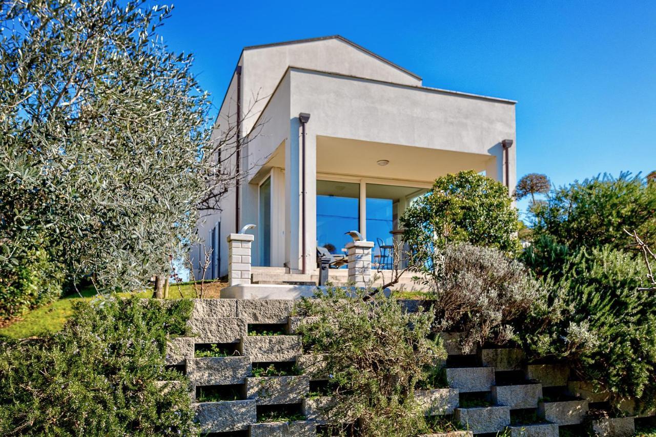 Villa Il Poggino - Modern House Foiano Della Chiana Exterior foto